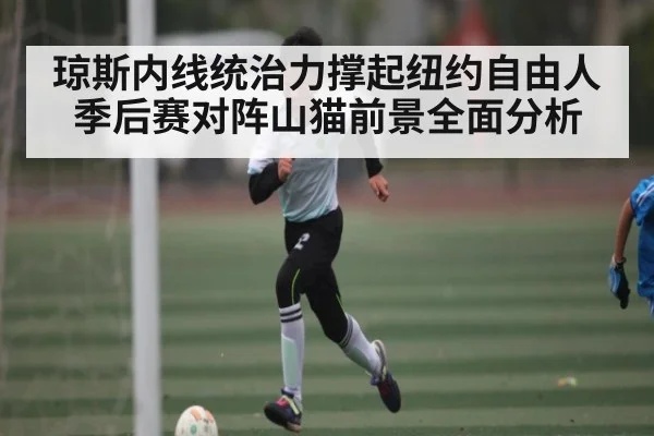 琼斯内线统治力撑起纽约自由人 季后赛对阵山猫前景全面分析